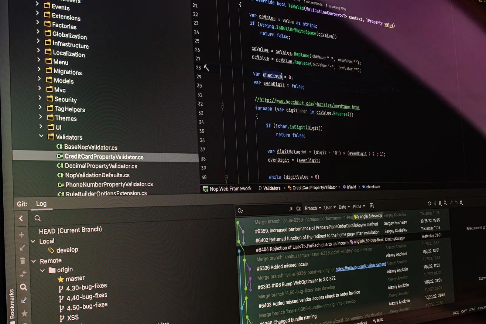A developer building a custom REST and GraphQL API
