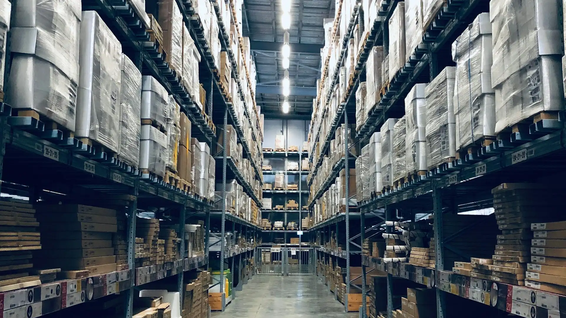Shipping containers and freight — software Avaib builds for logistics